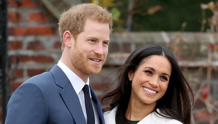 Prince Harry, Meghan Markles domestic life in US comes to light