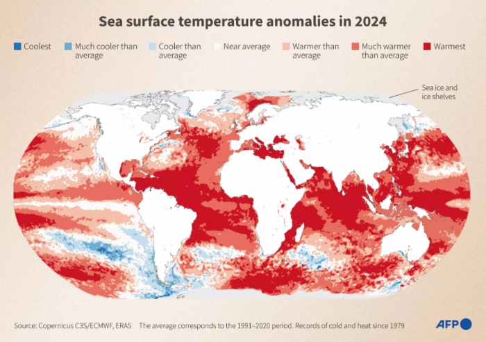 Sea surface temperature anomalies in 2024. — AFP/File