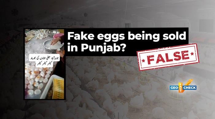 Fact-check: Fake eggs being sold to customers in Punjab?