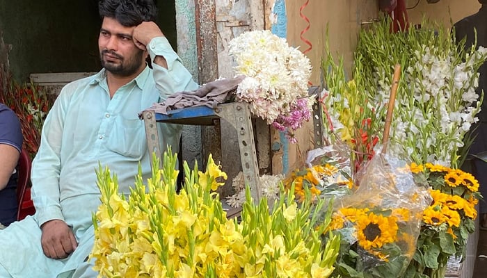 A vibrant display of Glides and Sunflowers brightens the shop at Karachi Flower Market. — Reporter