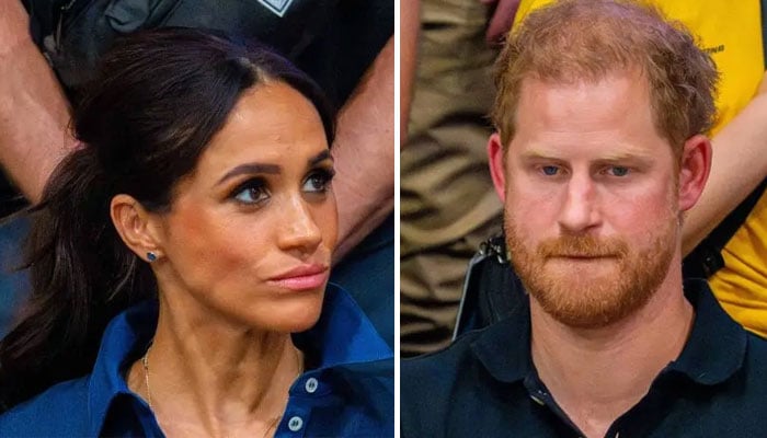 ‘Abandoned Prince Harry, Meghans dynamic explained: ‘Heres why they work