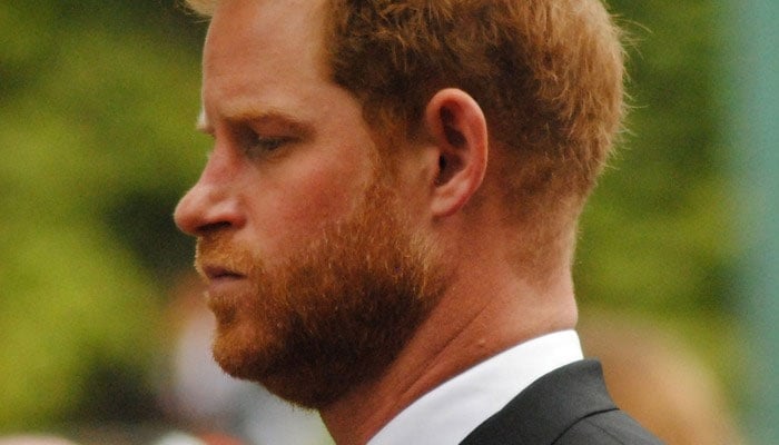 Prince Harry questioned over his intentions: ‘Is the cost too much?