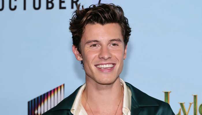 Shawn Mendes considering quitting music for new career?