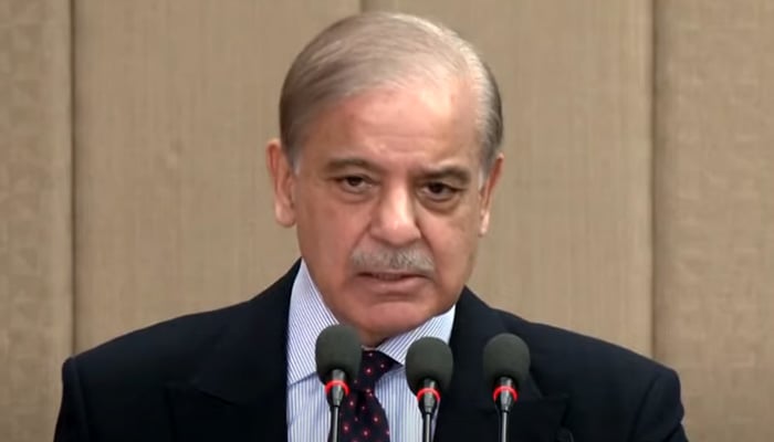 PM Shehbaz Sharif addresses the launching ceremony of the World Banks Country Partnership Framework for Pakistan from FY26 up to FY35 in Islamabad on January 23, 2025. — Screengrab via Geo News