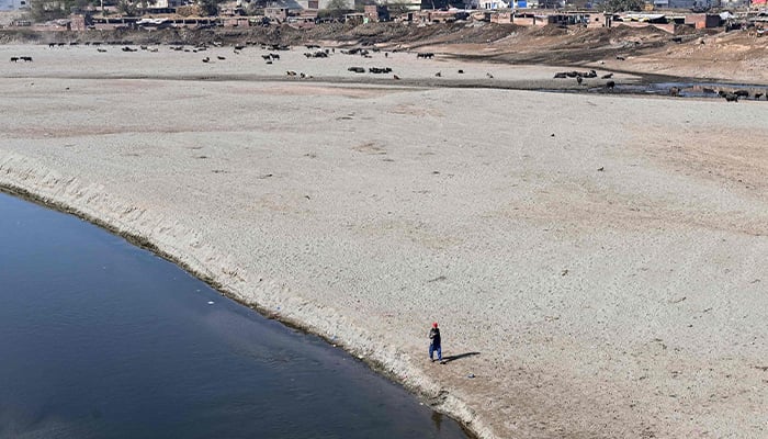 A man walks on the dried-up bed of the Ravi River in Lahore on January 23, 2025. — AFP