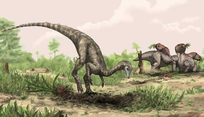 The Triassic Period creature Nyasasaurus, considered either an early dinosaur or a close relative, is seen in this illustration released on January 23, 2025. — Reuters