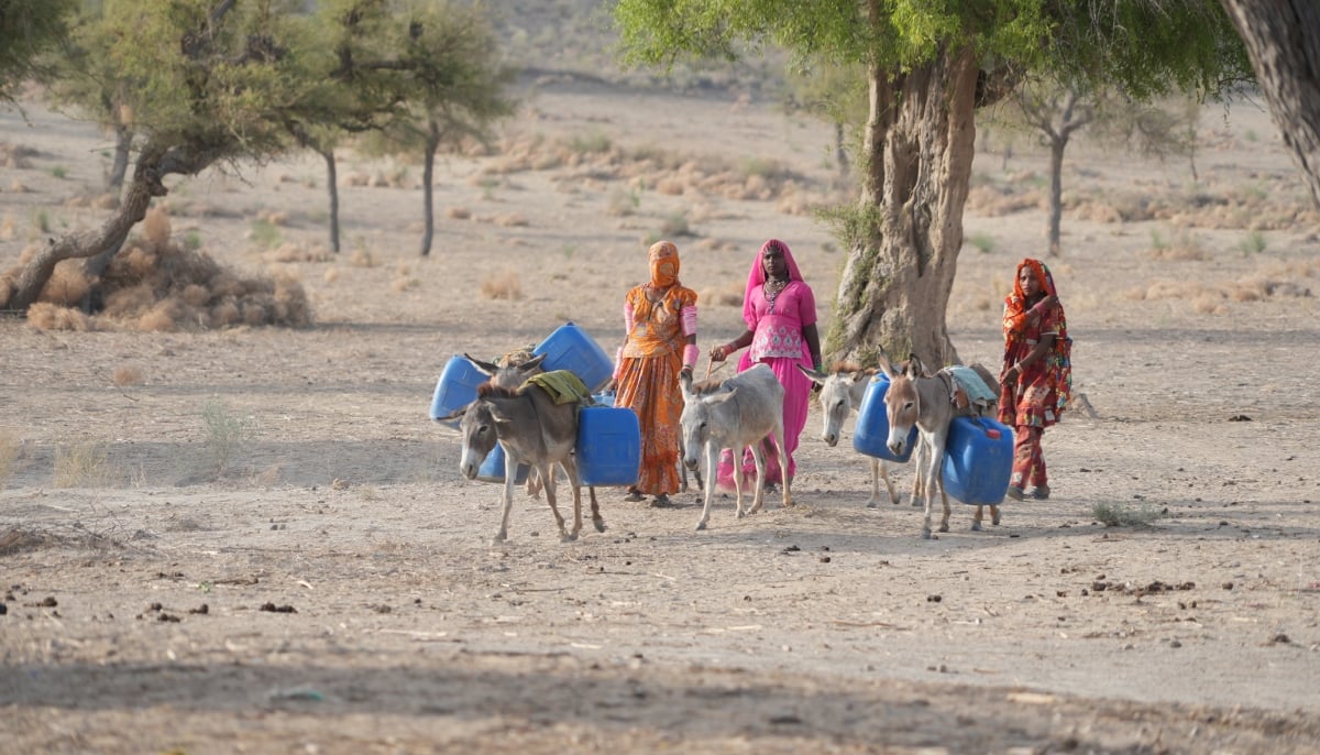 Women fetching water from a desiccated water source in Thar. — Photo by TKF via author