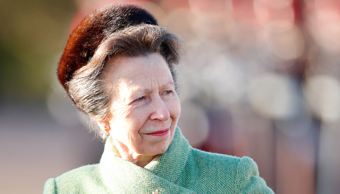 Princess Anne admits remembering nothing of her infamous accident