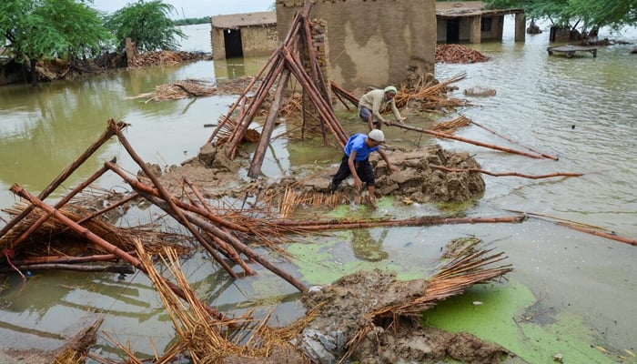 People retrieve bamboos from a damaged house following rains and floods during the monsoon season in Dera Allah Yar, district Jafferabad, Balochistan, on August 25, 2022. — Reuters