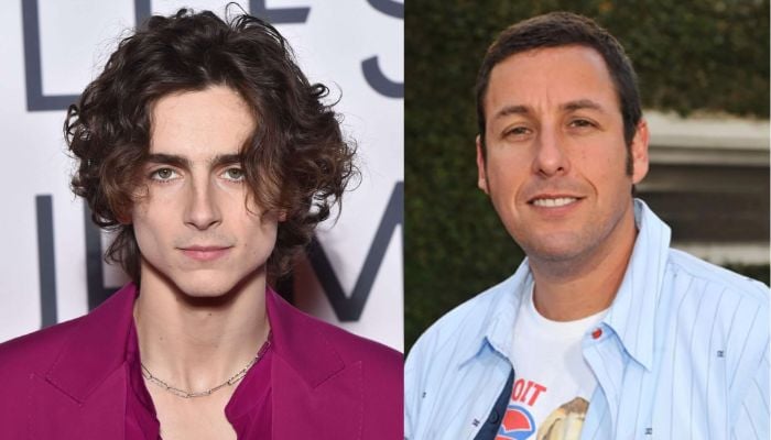 Timothee Chalamet takes jibe at award shows with Adam Sandler on SNL