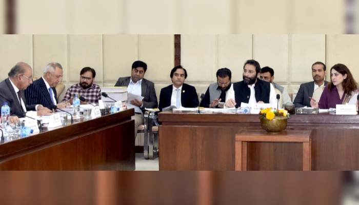 Faisal Saleem Rahman (third right) chairing a meeting of the Senate Standing Committee on Interior in Islamabad. — Pakistan Senate website/ File