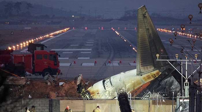 Duck DNA in both engines of Jeju Air plane that crashed, says report