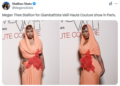 Megan Thee Stallion stuns in hooded dress during Paris Fashion Week