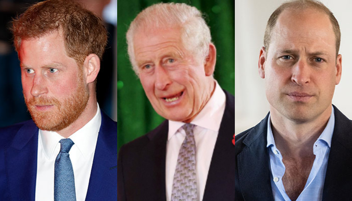 Prince Harrys relationship with King Charles and even Prince William may be healing