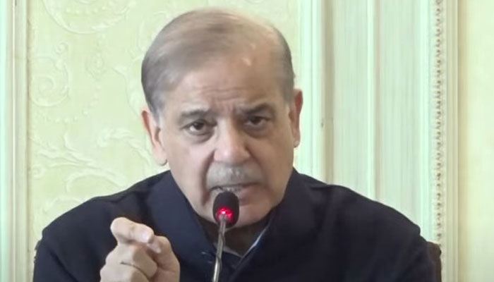 Prime Minister Shehbaz Sharif addressing media on January 30, 2025. — Screengrab/ Geo News