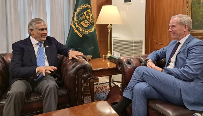 EU Special Representative for Human Rights Ambassador Olof Skoog (right) in a meeting with Deputy Prime Minister Ishaq Dar. — EU website/File