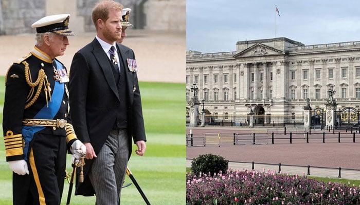 Princess Beatrice reaches out to Prince Harry, Meghan after Buckingham Palace announcement