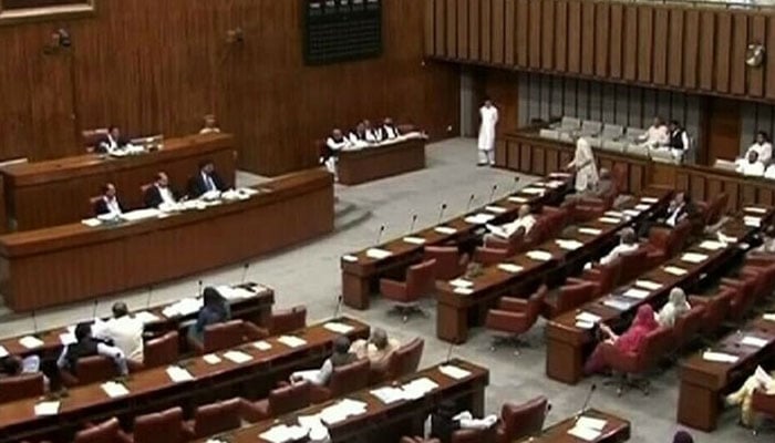 An undated image of Senate hall during a session. — Radio Pakistan/File