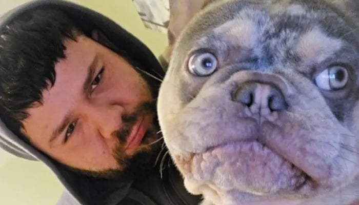 Peter Macann pictured with one of his bulldogs. — Facebook/Peter Macann