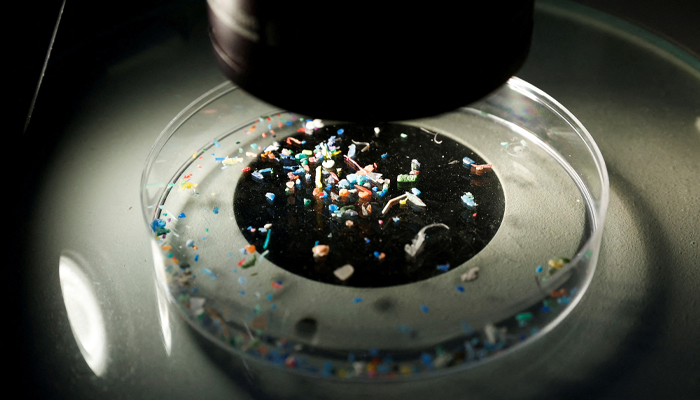 Marine scientist Anna Sanchez Vidal shows microplastics collected from the sea with a microscope at Barcelonas University, during a research project Surfing for Science to assess contamination by microplastics on the coastline, in Barcelona, Spain, July 5, 2022. — Reuters