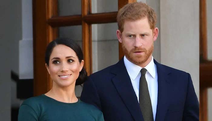 Prince Harry, Meghan Markle career split seen as modern approach?