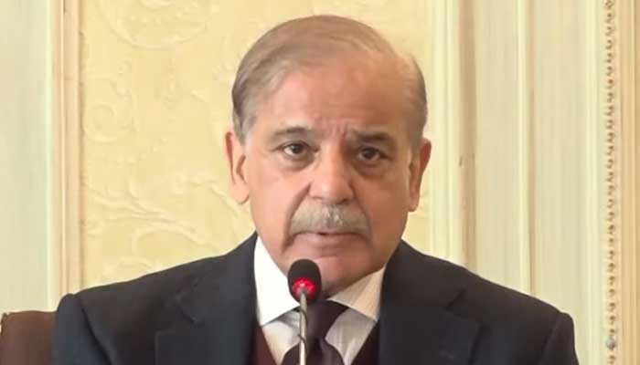 Prime Minister Shehbaz Sharif addressing federal cabinet meeting in Islamabad, February 4, 2025. — Screengrab via YouTube/Geo News