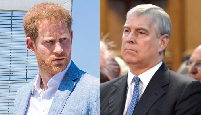 Prince Harry slapped with investigation scare: ‘FBI needs to check him!