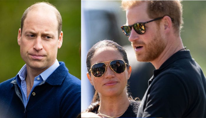 Markle caused Harrys to have fights with Prince William by kissing & hugging him?