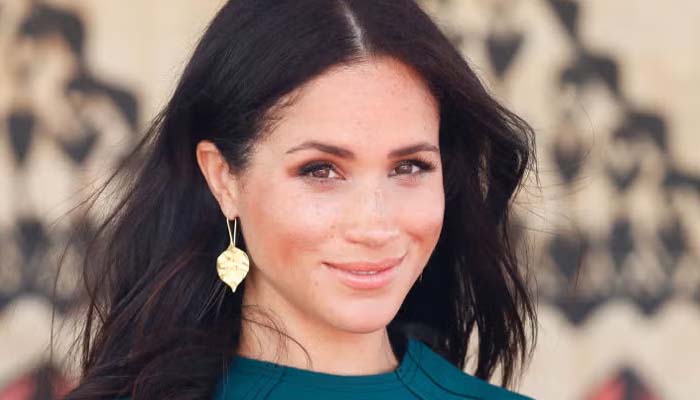 Meghan Markle given bold title in new explosive royal book