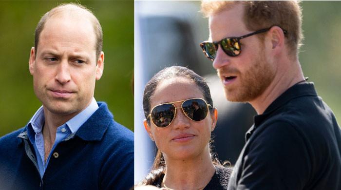 Meghan Markle caused Harry’s to have fights with Prince William by kissing & hugging him?