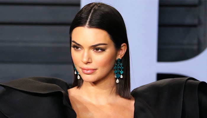 Kendall Jenner teases fans with rare construction shots a now-deleted post