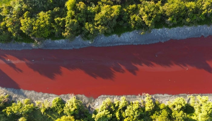 This aerial view shows an unusual reddish color of the Sarandi Canal seeping into the Rio de la Plata River in Sarandi, Avellaneda in the outskirts of Buenos Aires on February 6, 2025. — AFP