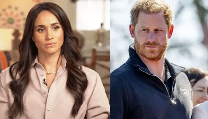 Prince Harry scared of assassins coming for Meghan Markle: ‘They will kill my wife