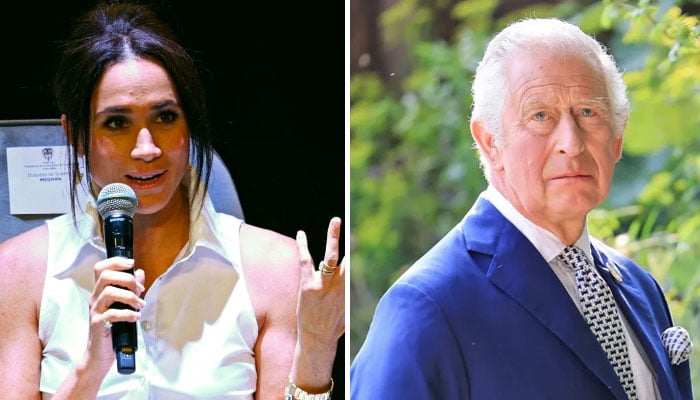 Meghan Markle thoughts on Charles iii’s ‘strange family’ drops