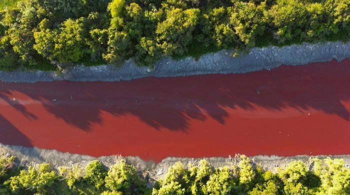 Blood-red water in Argentina canal alarms residents