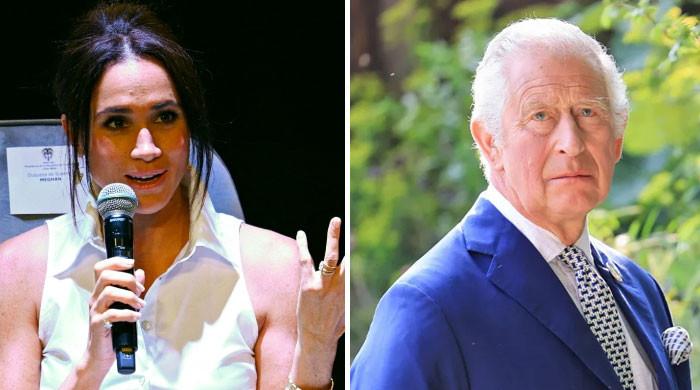 Meghan Markle thoughts on Charles iii’s ‘strange family’ drops