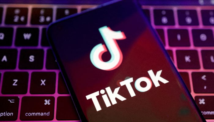 TikTok app logo is seen in this illustration taken, August 22, 2022. — Reuters