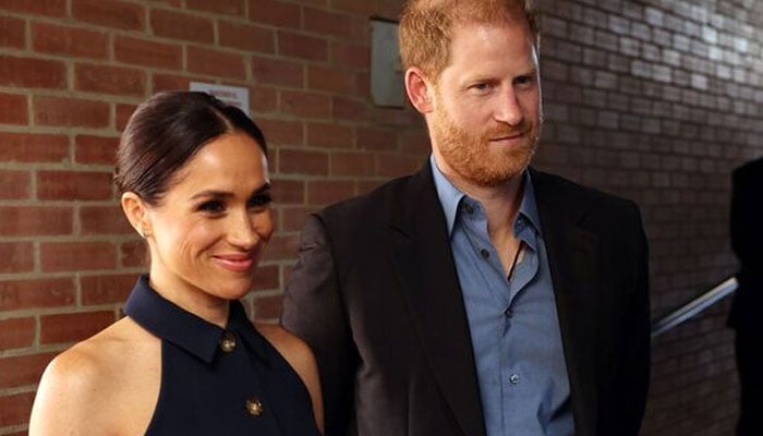 Prince Harry, Meghan Markle talk about healing spaces in times of crisis