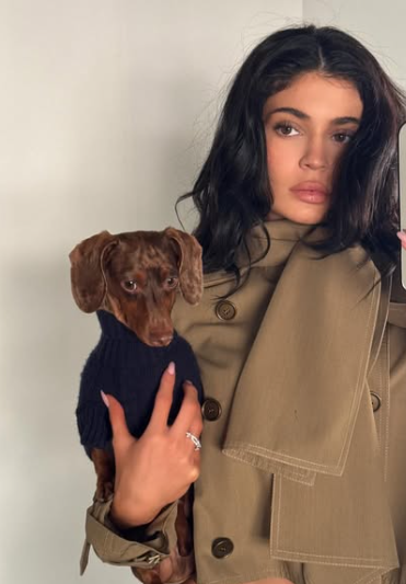 Kylie Jenner showcases her brown pup in casual look