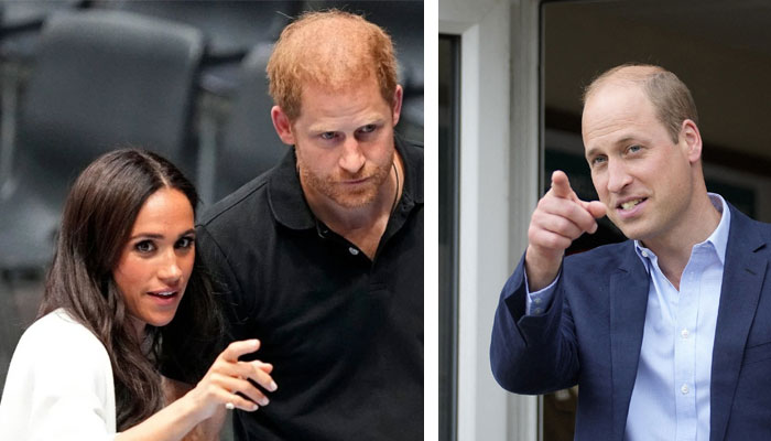 Staffer exposes Meghan Markles fate in the Firm had she married Prince William