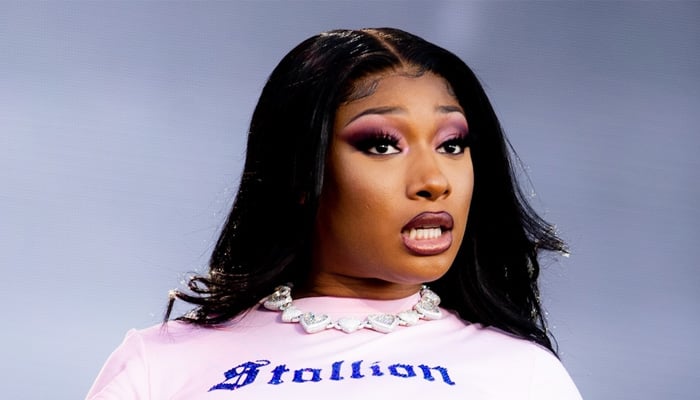 Megan Thee Stallion makes headlines at the Fanatics Super Bowl party