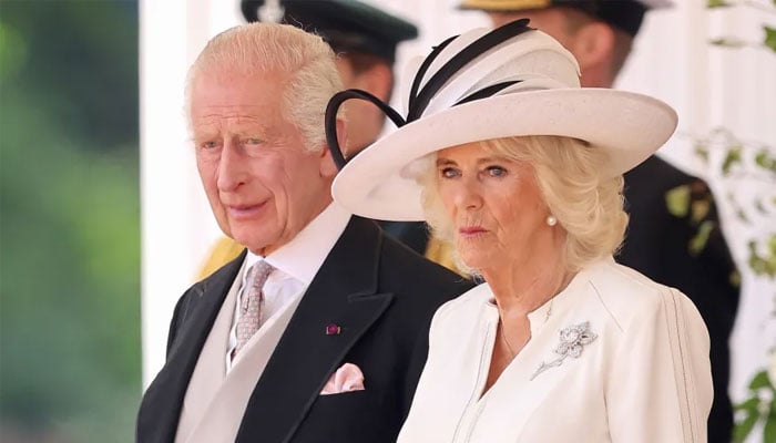 Queen Camilla struggled with Royal protocol before taking on big role