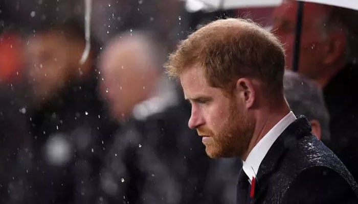 Prince Harry’s vengeful past comes out where he plagued his kin with pain