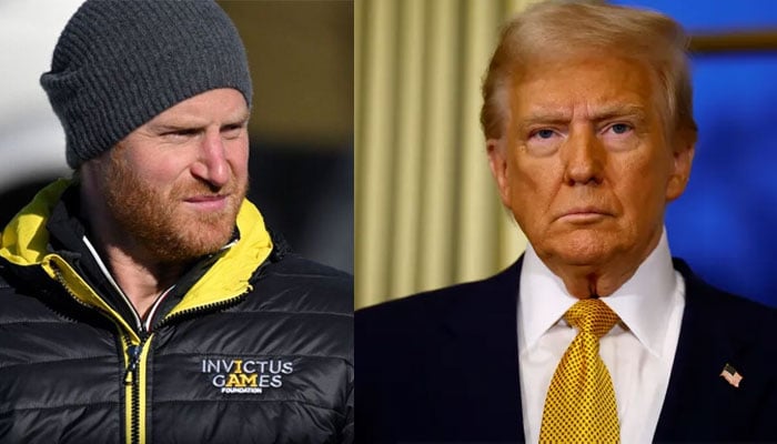 Prince Harry ridiculed for trying to ‘take on Donald Trump: ‘A prawn against a shark