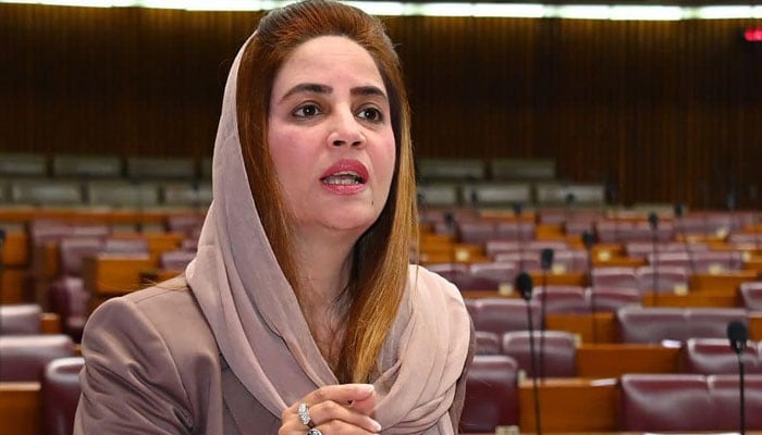 PTI MNA Zartaj Gul speaks during a National Assembly Session. — Facebook@ZartajGulWazirOfficial/File