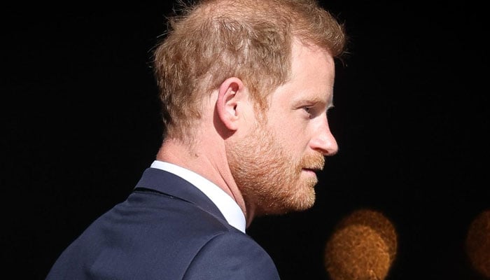 Prince Harry ‘desperate’ to make American dream work amid Royal family’s concerns