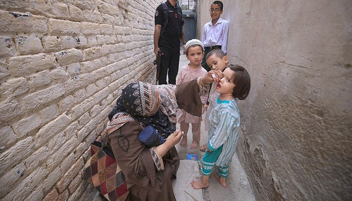 Female Polio worker administering polio drops to children at Warsak road during anti-polio vaccination campaign in Peshawar on September 9, 2024. — APP