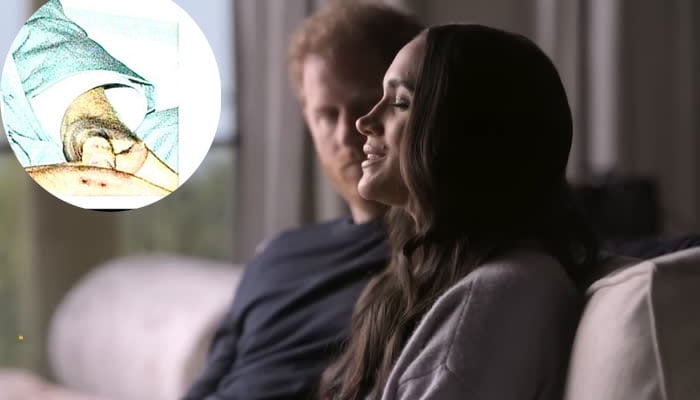 Meghan Markle hit with physical abuse chatter: Shes hitting, biting Prince Harry