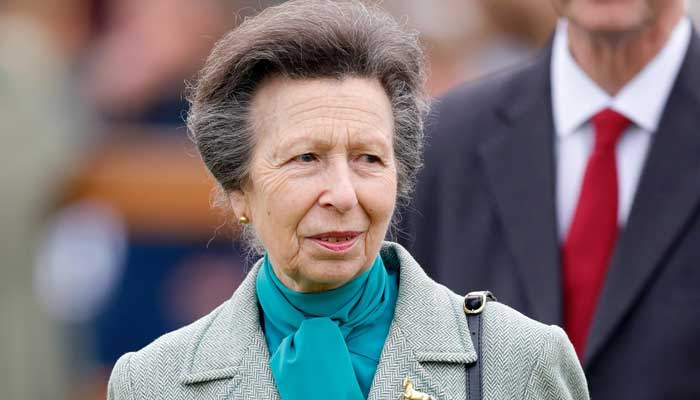 Princess Anne undertakes a visit in a nod to Prince Harrys efforts