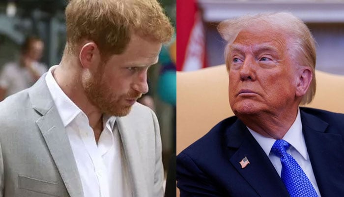 Donlad Trump hailed for taking away what Prince Harry desperately craves